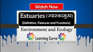 Estuary Ecosystem  ज्वारनदमुख किसे कहते हैं  Features and Functions  Ecology  UPSC  In Hindi [upl. by Hannala]