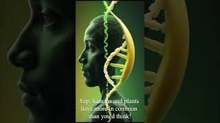 Banana DNA Are We More Connected to Plants Than We Think [upl. by Sura]