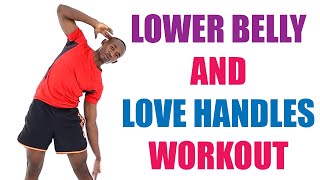 Lower Belly and Love Handles Workout 20 Minute Standing Midsection Workout [upl. by Otrebogad]