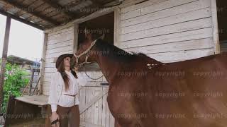 Horsewoman kissing horse in barn [upl. by Rramo]