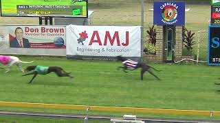 Capalaba24012024Race5 [upl. by Covell740]