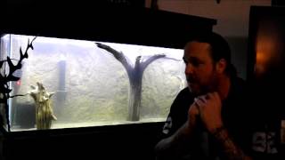 Cycle a freshwater aquarium using ammonia [upl. by Ociredef]