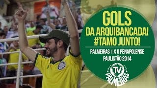 Gol da arquibancada Palmeiras 1 x 0 Penapolense  Paulistão 2014 [upl. by Adnomar]