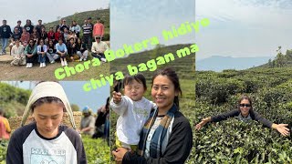 Paschim ko sabai vanda thulo chiya bagan  Lwang gaun Part 2 Vlog 3 [upl. by Weidar]