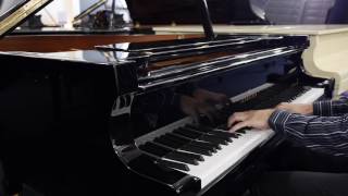 BECHSTEIN A 175  PIANOS MELBOURNE [upl. by Airotkciv]