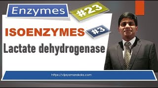 Lactate dehydrogenase Isoenzymes Diagnostic important enzymes [upl. by Rasla]