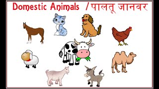 Learn Domestic Animal Names  Farm Animals for Kids in English and Hindi  पालतू जानवरों के नाम [upl. by Yrhcaz]