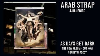 Arab Strap  Bluebird Official Audio [upl. by Arramat]