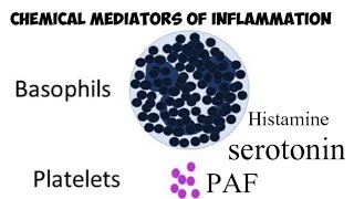 Chemical mediators of Inflammation [upl. by Enilrad]