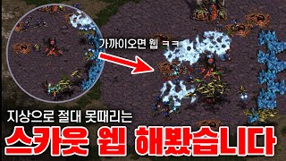 상대는 처음 당해보는 스카웃  커세어 웹의 환상적인 연계 ㅋㅋㅋㅋ [upl. by Stalk]