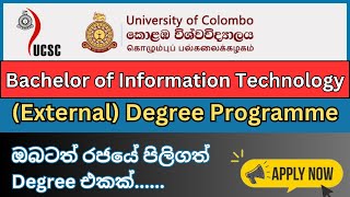 Information Technology Degree in Colombo University I රජයේ විශ්ව විද්‍යාලයක උපාධියක් [upl. by Annia361]