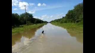 camino de toro pampa Alto Paraguay [upl. by Enail]