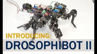 Drosophibot II a biomimetic fruit fly robot for studying the neuromechanics of legged locomotion [upl. by Ajiak38]