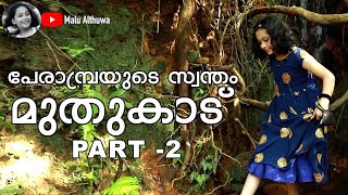 പേരാമ്പ്രയുടെ സ്വന്തം മുതുകാട് 2 Perambra estate  travel vlog Malayalam  travel blogger  Vlog17 [upl. by Attennhoj789]