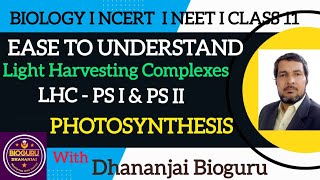 Pigements And Light Harevesting Complex System PS  I and PS  II of Photosynthesis in Higher Plants [upl. by Russom]