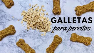 Galletas Saludables para Perritos 4 Ingredientes y SIN HORNO [upl. by Alliehs]