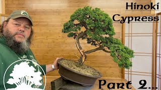 Hinoki Cypress Bonsai Part 2  Greenwood Bonsai [upl. by Deedee492]