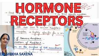 Hormone receptors Location Specificity Up regulation down regulation [upl. by Yraillih]