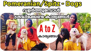 PomeranianSpitz  Dogs വളർത്തുമ്പോൾ ശ്രദ്ധിക്കേണ്ട കാര്യങ്ങൾ A to z കാര്യങ്ങൾ [upl. by Murdoch559]