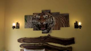 Palaash Villa at Regenta Resort Aranyaani Pench National Park [upl. by Cadmar412]