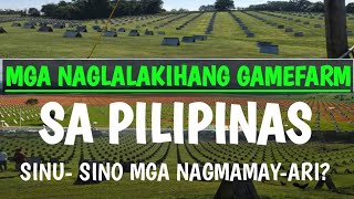 ANG MGA NAGLALAKIHANG GAMEFARM SA PILIPINAS SINUSINO MGA NAGMAMAYARI [upl. by Bury]