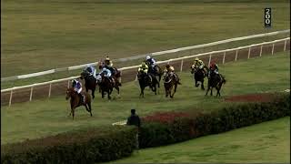 Mudgee race 1 15 June 2024 [upl. by Higinbotham]