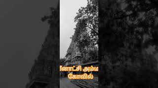 Meenakshi Amman Temple youtubeshorts tamilshorts viralshort viralvideo [upl. by Hadeehsar]