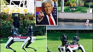 Njihuni me ‘Spot’ qenin robot që mbron Donald Trumpin [upl. by Piefer481]