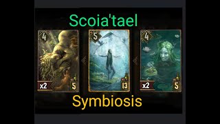 Scoiatael vs Monsters Gwent The Witcher Card Game2024071800 [upl. by Tizes]