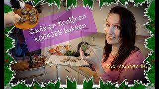 Cavia konijnen KOEKJES BAKKEN 🎄6🎄 ZOOCEMBER 2018 [upl. by Aihsema623]