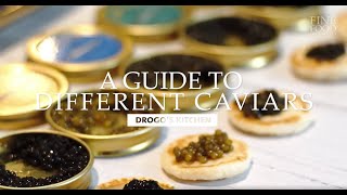 A Guide to Different Types of Premium Caviars  Drogos Kitchen  Fine Food Specialist [upl. by Pulchi]