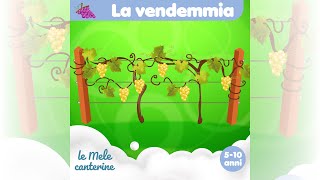 La vendemmia Lemelecanterine [upl. by Abebi]