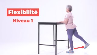 Flexibilité  Exercices pour les aînés  Niveau 1 de 4 [upl. by Riek]