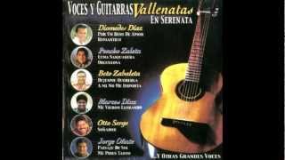 Beto Zabaleta  03 Déjenme Quererla Voces y Guitarras Vallenatas Vol 1 [upl. by Ermine482]