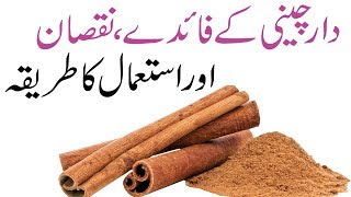 Dalchini khane ka sahi tarika  Cinnamon Benefits in urdu  Dalchini ke Fayde [upl. by Aicile]