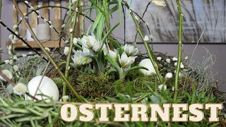 Osterdeko mit Rosmarin Salbei amp ThymianDY Osternest mit floraler FüllungFrühlingsdeko für draußen [upl. by Drofnil]