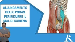 Allungamento dello psoas un esercizio efficace contro il mal di schiena [upl. by Sucrad]