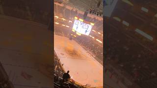 Anaheim Ducks  The Offspring  Pre Show  Hockey  Honda Center [upl. by Nagud]