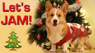 ROCKIN Xmas TREE  Topi the Corgi [upl. by Rettuc]