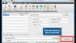 How to convert your audio track to FLAC using AVS Audio Converter [upl. by Etnad759]