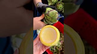 Have you ever seen an artichoke heart be cut from the plant before 🤷🏽‍♂️ [upl. by Mirielle]