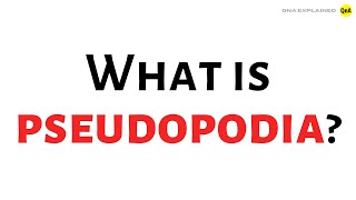 What is pseudopodia   QnA Explained [upl. by Longwood]