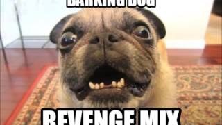 BARKING DOG REVENGE MIX HQ Play back to your neighbors dog [upl. by Ernaldus34]