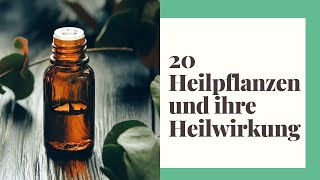 20 Heilpflanzen und ihre Heilwirkung [upl. by Nereids281]