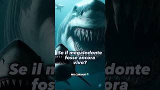 se il megalodonte fosse ancora vivo abissi curiosità misteri [upl. by Mychael]