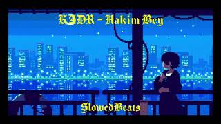 KADR  Hakim Bey slowed  reverb [upl. by Lowenstern]