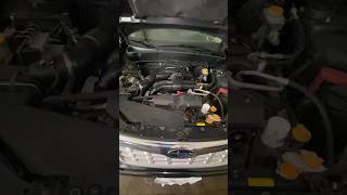 Subaru Engine  Rod Knock Vs Piston Slap [upl. by Ecirbaf]