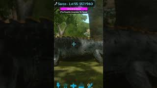 I Tame Sarco In Ark Mobile shorts arkmobile [upl. by Justina]