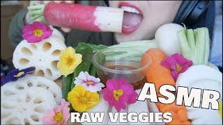 ASMR Giant VEGGIES CRUNCHY EATING SOUNDS NO TALKING  SASASMR [upl. by Giglio62]