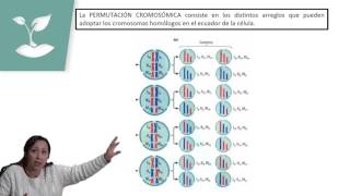 MEIOSIS Y GAMETOGÉNESISPSU BIOLOGÍACLASE Nº9 [upl. by Canica]